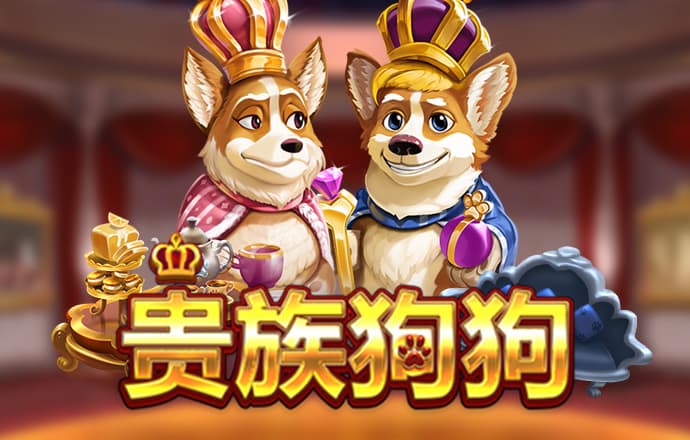 星空体育官网登录入口